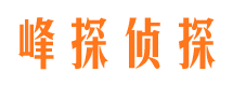 洪山调查公司